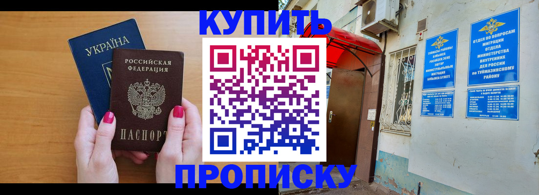 прописка поиск в Мурманске